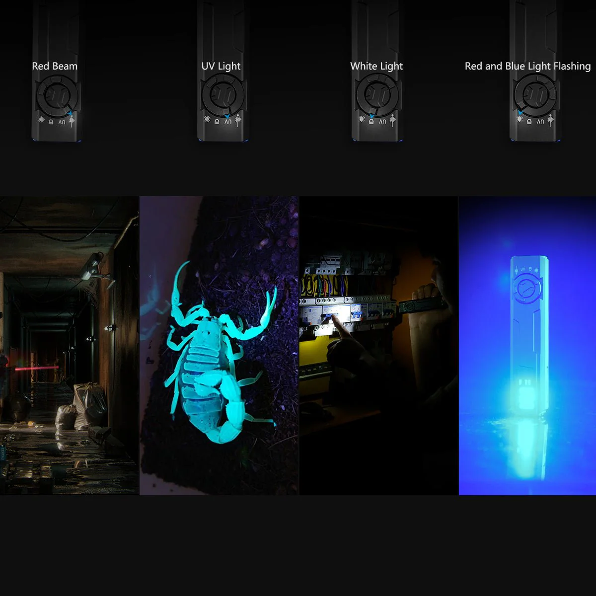 Thumbnail 12